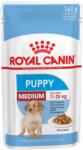 Royal Canin Shn Wet Medium Puppy 10x140 g