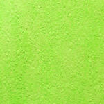  Tapet hartie duplex 160g/mp - verde granulat -ALMA 2010/2011-10 (902)