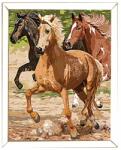 Royal & Langnickel Pictura pe numere master Cal in galop (PBN-PRO2)