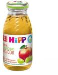HiPP Suc Hipp, mere și struguri, 200 ml, de la 4 luni, 9062300112846