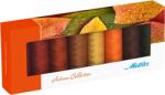 Mettler ATA COTON SILK-FINISH AUTUMN KIT 8 BUCATI, METTLER (SFC8AUTUMN-Kit) - cusutsibrodat