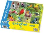Springbok Puzzle Springbok din 500 de piese - Birds of A Feather (33-01495) Puzzle
