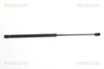 TRISCAN Amortizor capota TRISCAN 8710 15104 (8710 15104) - automobilus