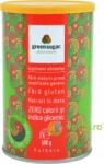 Remedia Green Sugar Indulcitor Natural Pulbere 500g