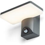 Rendl light studio Rina Pir R13654