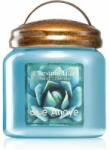 Chestnut Hill Blue Agave lumânare parfumată 454 g