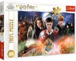 Trefl Harry Potter titka 300 db-os (23001)