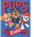  Mancs Őrjárat polár takaró 130*170 cm (BRM006171) - oliviashop