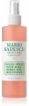 Mario Badescu Facial Spray with Aloe, Herbs and Rosewater ceață facială tonică pentru luminozitate si hidratare 236 ml