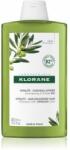 Klorane Organic Olive sampon pentru regenerare pentru par matur 400 ml