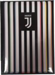  Juventus FC határidőnapló, csíkos, 2019 (8011410391123_színes)
