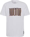 Adidas Juventus FC STR póló (GR2921)