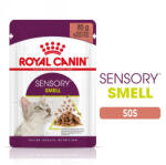 Royal Canin Sensory Smell, hrana umeda pisica stimularea simtului olfactiv (in sos), 1 x 85 g