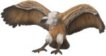 Papo Figurina Papo Wild Animal Kingdom - Vultur (50168) Figurina