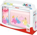 Nuk Set cutie pentru pranz si sticla pentru apa Nuk Junior Cup - Princess (10255089) Set pentru masa bebelusi