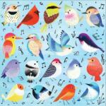 Mudpuppy Songbirds 500 db-os puzzle, Mudpuppy