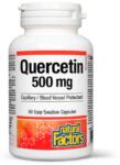 Provita Nutrition Quercetin 500 mg 60 capsule Natural Factors