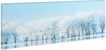 Family Pound Tablou decorativ cu LED peisaj de iarna Family Pound, 70 x 30 cm, 2 x AA, 30 x LED, lumina alb rece (58480A)