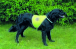 TRIXIE Biztonsági Mellény Kutyának S (30081) - petpakk