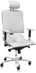 Asana Asana Architect ergonomikus irodai szék Kárpit színe: ECO-bőr Krém 554