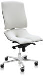 Asana Asana Steel Standard ergonomikus irodai szék Kárpit színe: Atlantic Fehér 60063, Kartámla: kartámla nélküli
