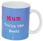  Cana pentru mamici cu mesaj in interior I love you beary much (JOCH516)