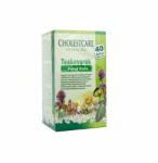 Pavel Vana cholestcare herbal tea 40x1, 6g 64 g - mamavita
