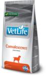 Vet Life Convalescence Dog 2 kg