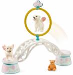 Schleich Figurina Schleich bayala® Instruirea leilor inaripati (42524-34085) Figurina