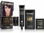 Delia Cosmetics Cameleo Omega Culoare permanenta pentru par culoare 6.26 Aubergine