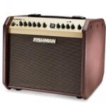 Fishman Loudbox Mini