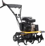 Texas Lilli 365 TG (4800061154) Motosapa