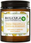 Air Wick Botanica Pineapple & Tunisian Rosemary 205 g