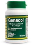 Darmaplant Genacol - 90 cps