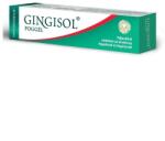  Gingisol fogyíny- és szájápoló oldat 10 ml - mamavita