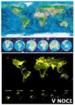 Educa - Puzzle Lumea neonului - 1 000 piese Puzzle