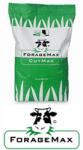Dlf Trifolium GrassMax Original - Pentru suprainsamantare