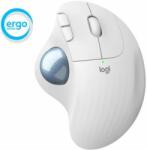 Logitech Ergo M575 (910-006438) Mouse