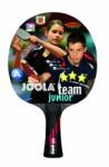 JOOLA Paleta Joola Team Junior (52004-uni-multicolor)
