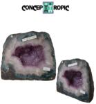  Geoda Ametist Naturala Brazilia - 23x27x16 cm - ( XXL ) - Unicat