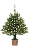 vidaXL Set pom de Crăciun artificial cu LED-uri&globuri, verde, 90 cm (3077638)