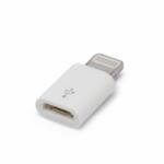 4World Delight micro USB anya - Apple Lightning apa adapter (55448)