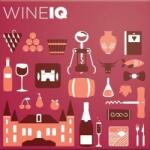 Helvetiq WineIQ angol nyelvű logikai játék (HQ0837) - reflexshop