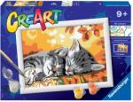 Ravensburger Pictura pe numere - Pisicute somnoroase (RVSPBN28932)