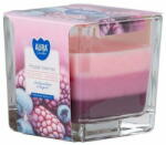 BISPOL Három színű fagyasztott gyümölcs 170 g