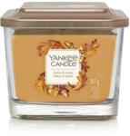Yankee Candle Amber & Acorn 347 g