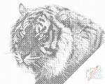  PontPöttyöző - Tigris Méret: 40x50cm, Keretezés: Keret nélkül (csak a vászon), Szín: Piros