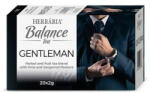 Herbária Balance Tea Gentleman 20 filter