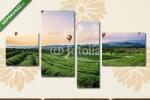  Többrészes Vászonkép, Premium Kollekció: Hőlégballonok teültetvények felett, Kína(125x70 cm, S02)