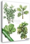  Vászonkép: Premium Kollekció: Watercolor tropical plants(125x145 cm)